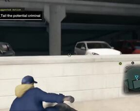 Watch Dog - car on car bug
