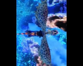 Flying to heavenly skies on a wild dragon