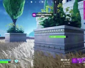 Fortnite: hunting for the victory royal